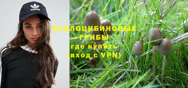 ALPHA PVP Абдулино