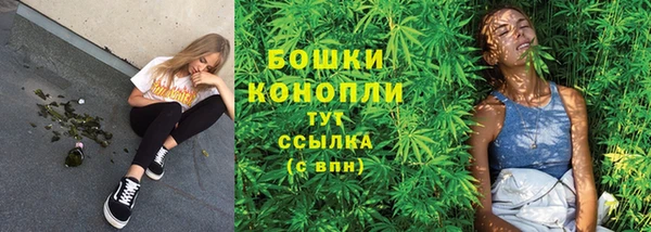 прущий лед Абаза