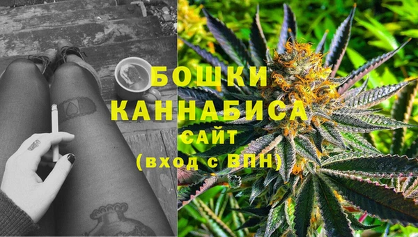 прущий лед Абаза